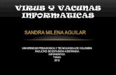 V virus y vacunas informaticos