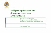 Matrices ambientales y peligros chile final