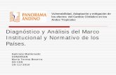 Diagnóstico y análisis del marco institucional y normativo de los países. G. Maldonado y M.T. Becerra