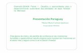 Paraguay   presentacion dr rafael carlstein