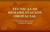 TéCnicas De RehabilitacióN Orofacial  I