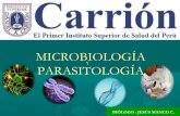 buMicrobiología y parasitología   i
