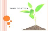 Proyecto didactico las plantas