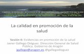 La calidad en promoción de la salud javier gallego