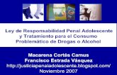 Ley de Responsabilidad Penal Adolescente y Tratamiento para el Consumo Problemático de Drogas o Alcohol  Francisco Estrada y Macarena Cortés