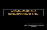 Anomalias del SNC Fetal. Ultrasonografia
