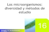 Unidad 16. Los microorganismos: diversidad y métodos de estudio