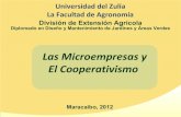 La Microempresa y el Cooperativismo en Venezuela