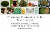 Productos derivados de la moringa