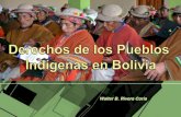 Pueblos indígenas bolivia