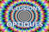 Il·lusions òptiques(i)