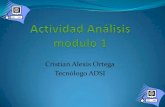 Actividad análisis modulo 1