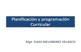 2. programacion curricular 2011