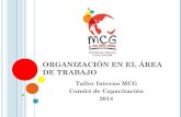 Organización en el área de trabajo (Taller Interno MCG)