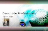 Desarrollo Profesional - Agosto 2012