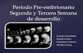 Período pre embrionario-1
