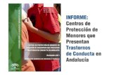 Presentacion “Informe sobre centros de protección de menores en situación de desamparo con trastornos de conducta en Andalucía”