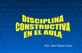 Disciplina constructiva y pmc