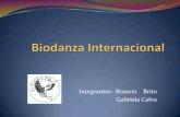 Biodanza internacional
