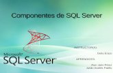Componentes De  SQL Server