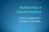Micotoxina   y  parasitos