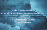Tuberculosis, Coccidioidomicosis e Histoplasmosis