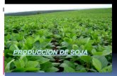 Produccion de soja