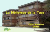Biblioteca del CEIP Montcau