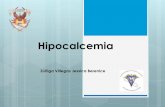 Hipocalcemia trastorno metabólico bovino leche
