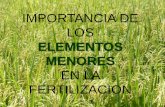 Importancia de los elementos menores en la fertilizacion