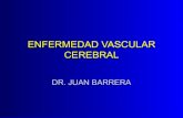 Enfermedad vascular cerebral_clase (2)