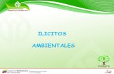 Presentación2 ilicitos ambientales