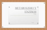 Metabolismo y enzimas