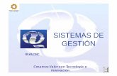 Presentaci n sistemas_de_gesti_n_-_inalcec