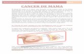 Revista de cancer de mama