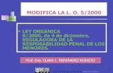 L.O. 8 /2006 Responsabilidad Penal Del Menor