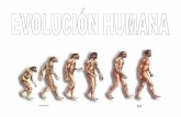 Evolucio espècies