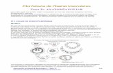 Tema21- Anatomía de hoja- Hipertextos de Botánica Morfológica