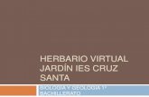 1415 herbario virtual