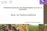 COMPONENTES Y PROGRAMAS SAGARPA 2014