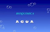 Bioquimica agua