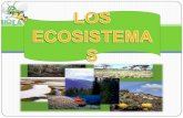 Los Ecosistemas  Eduardo Gómez