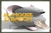 Mouse o raton