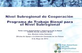 Modelo gerencial de cooperación técnica con fondos subregionales final55