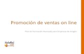 Resumen del seminario "Promociones on line" impartido para Aragón Empresa