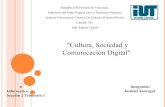 Cultura sociedad y comunicacindigital