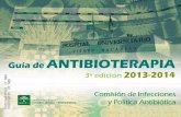 Guia antibioterapia 2013_rinconmedico.net