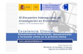 Excelencia clinica: actuaciones en informacion, documentacion y formacion online para la practica clinica