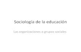 Organizaciones y grupos sociales