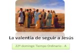 22 Domingo Ordinario A - seguir a Jesús